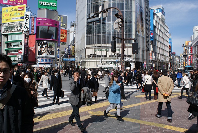 Tokio: Una Introducción a la Ciudad y su Cultura
