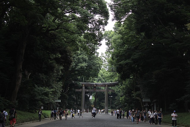 parque yoyogi centro de tokio