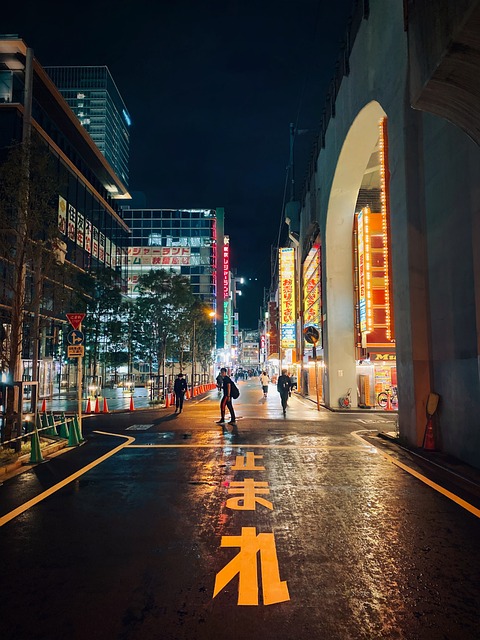 Calles de Akihabara otaku